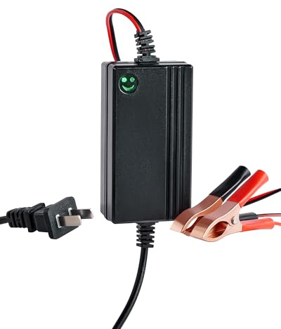 Orion Motor Tech 12V Battery Charger, Multipurpose Charger Power Bank for Charging Boats Motorcycles ATVs Riding Mowers, Car Battery Charger with Quick Charging & Power Indicator, 1PC