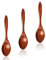 Bralucy Natural Wooden Spoon 3pcs Handmade Wooden Spoon Lumber Small Wooden Spoons Handmade for Tea Coffee Honey Sugar Flavouring Spoon
