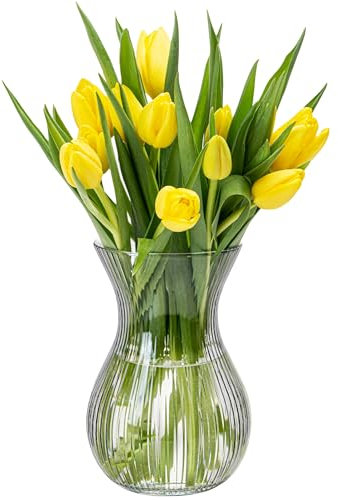 KONZEPT Blumenvase Glas 18 cm Hoch, ⌀ 11 cm, Vase für Tulpen Durchsichtig, Spülmaschinenfest - Kleine Vase für Tischdeko bei Hochzeiten & Partys