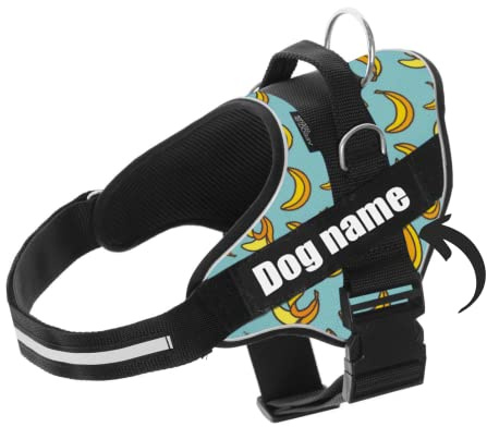 SUPER DOGGY Arnes Personalizado para Perros - Tamaño Pequeño, Mediano y Grande - Incluye 2 Etiquetas con Nombre - Pechera para Perros Reflectante y Seguro (XS 3-7KG, Blue Banana)