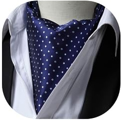 HISDERN Ascot Homme à Pois Cravate Foulard Mariage Élégant Foulards Cravates
