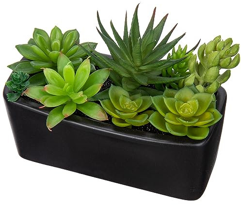 Briful Artificial Succulent Plants Faux Succulents in Black Ceramic Pot, Fake Plants Artificial Succulents Potting Mix Artificial Plants in Pot for Office Home Bathroom Shelf Decor