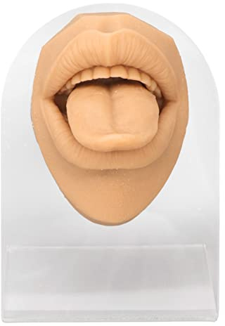 Mjuk Silikon Tungmodell, Öppen Mun, Fake Tounge, Flexibel Mänsklig Tunga Munform med Tänder, Kroppsdelar för Att Träna Piercing Akupunktur Smycken Display, Simuleringstunga(Hudfärg)