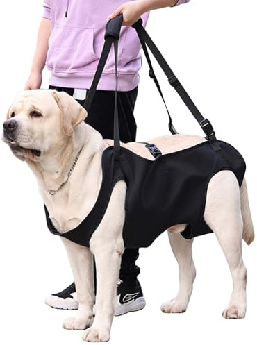 Imbracatura per Ascensori per Cani, Imbracatura per Sollevamento Cani, Supporto per Sollevamento Cani per Riabilitazione, Gilet di Riabilitazione per Cani Anziani Disabili Paralisi, Nero (M)