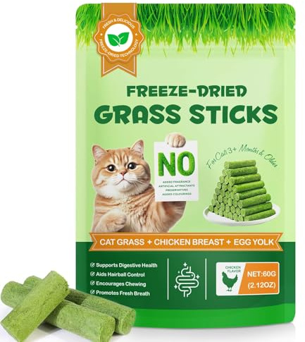Snack à l'herbe à chat - Bâtonnets d'herbe à chat avec protéines, acides aminés et vitamines - Bâtonnets d'herbe pour chat pour soins dentaires et élimination des boules de poils - Snack pour chats (1