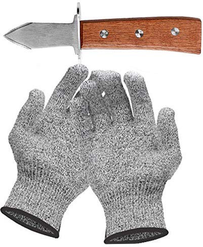 Coltello Ostriche Set, Includere 17 cm Coltello Apri Ostriche e Paio di Guanti Protettivi di Grado 5, Manico in Quercia di Grado A, Stabile, per Ostriche o Formaggi a Pasta Dura (Guanto taglia L)