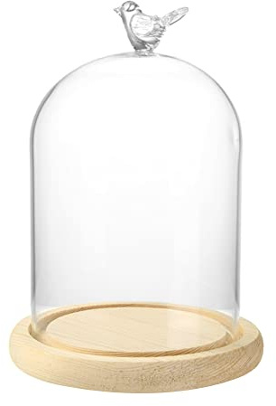 Forart Clear Glass Cloche Bell Jar Display Case with Bird Handle Wooden Base, Clear Glass Jar Tabletop Display Case Display Dome with Bamboo Base