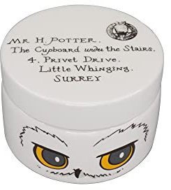 Half Moon Bay - Boîte à bijoux ronde en céramique Harry Potter – Hedwige – Boîte à bijoux avec couvercle – Décor de 6 cm – Hibou Hedwige