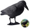 FaJoek Taubenschreck Krähe Schwarz Rabe, Taubenabwehr und Taubenschreck aus Kunststoff, Vogelabwehr, Rabe Krähe Taubenschreck Vogelschreck Taube Vogel Schreck Pflanzenschutz