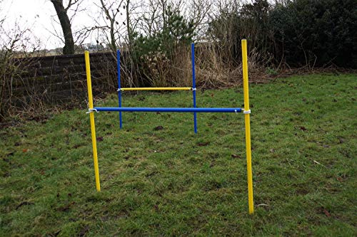 Wuzzmann 2 x hobbyhäst hinder-set i blå/gul