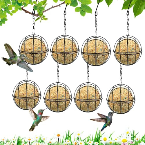Comedero Pájaros Bolas de Grasa Exterior Comedero para Pájaros Bolas Comedero Jardín Aves Silvestres Bolas SeboComedero con Ganchos, para Pájaros Silvestres para Balcón Jardín
