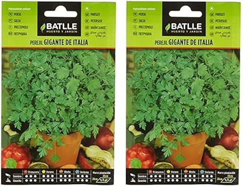 Graines aromatiques de Batlle - Persil géant d'Italie (9g) (Lot de 2)