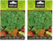 Battle - Semi Aromatici Prezzemolo Gigante d'Italia (Semi - 35Cm) (Confezione da 2)
