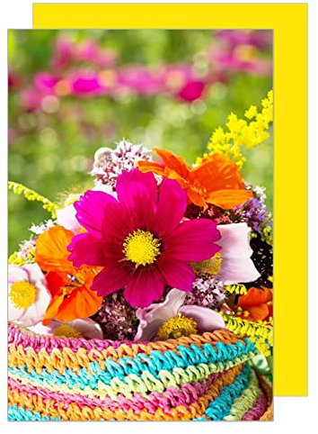 Edition Seidel Premium Glückwunschkarte Blanko ohne Text mit Umschlag. Blankokarte für verschiedene Anlässe Geburtstagskarte Billet Danke Blumen (A374 SW023)