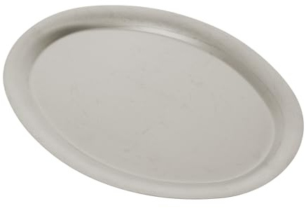 Gadpiparty Piatto Alimentare in Acciaio Inossidabile Forma Vassoio Portata Profondo e Compatto Leggero e Durevole per Cucina e Buffet
