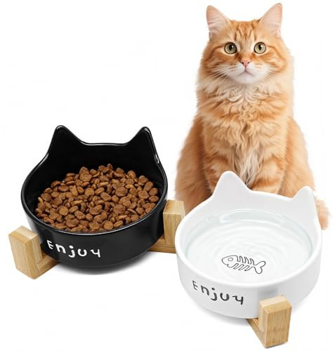Zyluniy 2 Pièces Gamelle Céramique 200ml pour Chat et Petit Chien | Bol Nourriture et Eau Anti-Moustaches, Facile à Nettoyer | Design Large et Peu Profond | Surface Lisse, Compatible Lave-Vaisselle