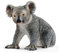 schleich WILD LIFE | Koalabär 14815 | detailgetreue Tierfiguren | Zoo Spielzeug | tolles Geschenk für Jungen und Mädchen | Deko für Geburtstag | Spielfigur ab 3 Jahren | 5 x 4 x 4 cm