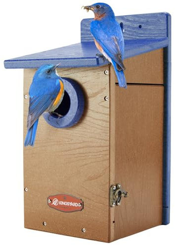 Kingsyard Recycled Plastic Bird House for Outdoor - Durable Nesting Box with Clear View Panel & Predator Guard for Bluebird Wren Swallow Finch, Blue & Brown