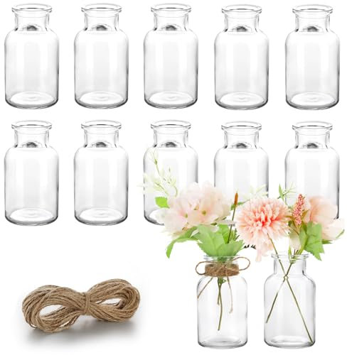 Vmgigig 12PCS Small Glass Bud Vases, Mini Vintage for Flowers, Small Vase Set for Decorative Table, Wedding Party, Home