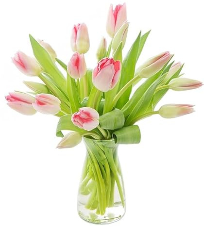 KaBloom PRIME NEXT DAY DELIVERY - Mother’s Day Collection - Bouquet of 20 Pink Tulips with Vase Gift for Birthday, Sympathy, Anniversary, Get Well, Thank You, Valentine, Mother’s Day Flowers