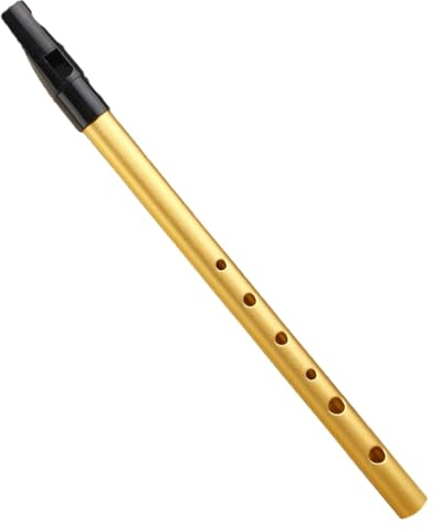 träblåsinstrument Traditionell plåt 6-håls metallflöjt träblås plåt flöjt bärbara musikinstrument(Gold)