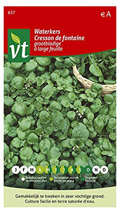 Cresson de fontaine larges feuilles Graines - Véritable plante aquatique