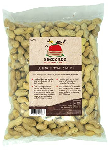 Monkey Nuts For Squirrels 600g - Wild Birds - Parrots - Parakeets - Hamsters - Monkey Nuts In Shells For Feeding Animals - Seedzbox