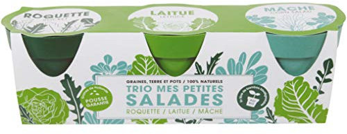 La Chaise Longue 39-1J-021 Trio Salades Roquette Laitue Mâche Set de 3 Pots Assortis avec graines Plantes