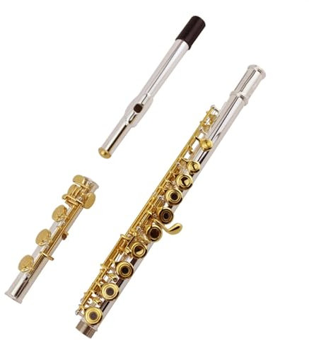 Querflöte Instrument 17-Tasten-C-Tastenflöte Mit Offenem Loch, Weißkupferversilberter Körper, Vergoldete Tasten, Flöteninstrument Mit Aufbewahrungsbox