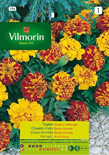 Semi Di Tagete Indiabonita Fiori S-1,1,5 Gr