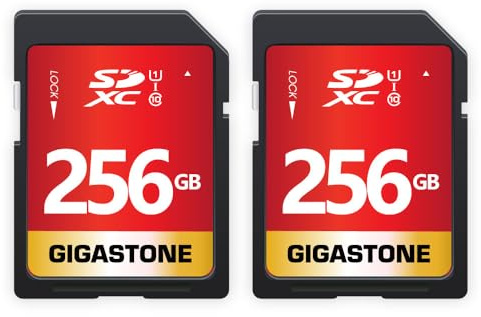 GIGASTONE Tarjeta SD 256GB, Paquete de 2, 2 Minicajas, UHS-I U1 Clase 10 Tarjeta de Memoria SDXC Vídeo Full HD de Alta Velocidad Canon Sony Kodak Olympus cámara Digital