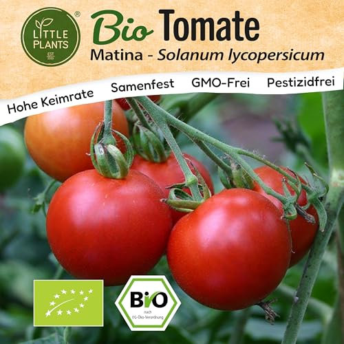 Little Plants BIO Tomaten Samen 10 Tomatensamen Matina Gemüsesamen für Gemüsegarten Samenfest Gemüse Samen für Küche, Balkon und Garten