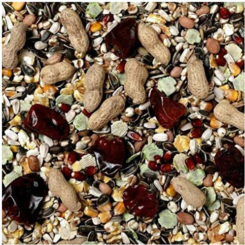 Johnston & Jeff 4kg No 1 Parrot bird seed food sold by Trusty Pet Supplies