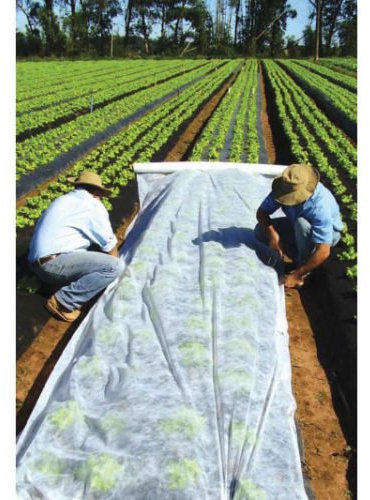 MEGRAN Gartenvlies, Weißes Pflanzvlies zur Abdeckung von Gemüsebeeten, Vlies gegen Insekten, Wildfraß, Sturm, Hagel & Hitze, Wetterbeständig, Luft- und Feuchtigkeitsdurchlässig, 3,2 m x 100 m