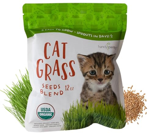 Organic Cat Grass Seed Blend for Planting – 12 oz – Wheat (Triticum aestivum), Barley (Hordeum vulgare), Oats (Avena sativa), and Rye (Secale cereale) Seeds – Non-GMO Grass Seed Mix for Pets