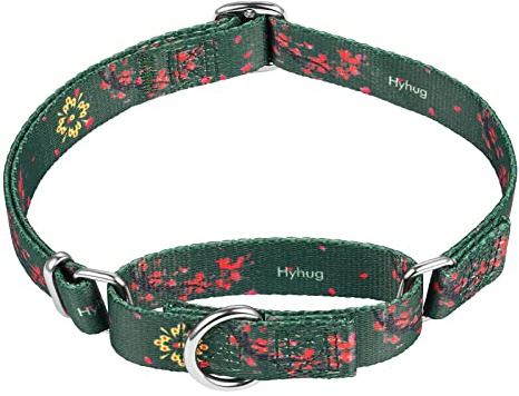 Fantastiskt halsband med hundar som flyger – Hyhug husdjur uppgraderad flyktsäker martingalkrage för hundar daglig användning promenader och träning (medium, plommonblomma)