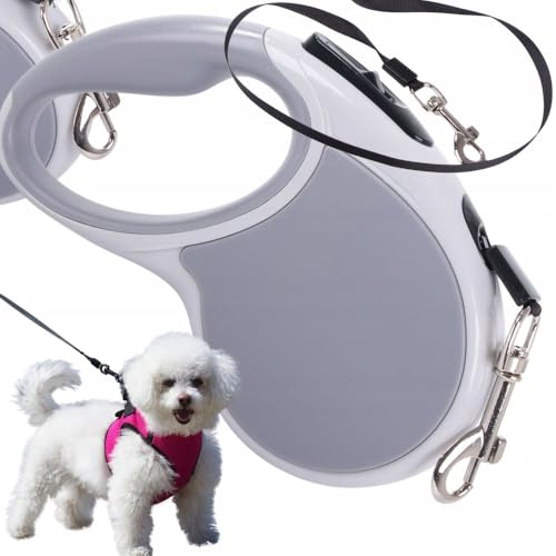 Guinzaglio Retrattile Cani, Fino 5 metri Lunghezza, Tasto Blocco, Taglia PICCOLA/MEDIA, Peso Massimo 15 Kg, Corda Senza Grovigli a 360°, Impugnatura Ergonomica (GRIGIO CHIARO)