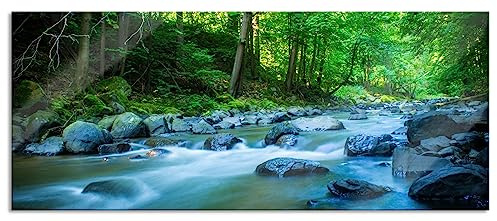 Pixxprint Glasbild Panorama, Wandbild aus Echtglas, Fluss im Wald mit Steinen, 120x50 cm, inkl. Aufhängung und Abstandshalter