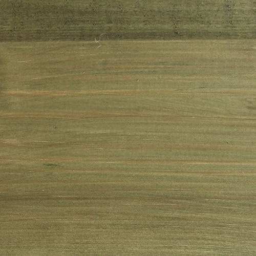 Protek Shed and Fence Stain Pale Green 5 litres