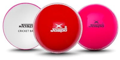 jaspo PVC T-20 Cricket Balls, (Multicolour)