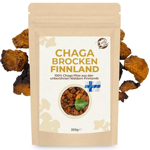 Curly Superfood Chaga Pilz Brocken Finnland Wildsammlung 250g - Nachhaltig & Wild gesammelt - 3-5cm groß für Chaga Pilz Tee & Chaga Kaffee - Herb-würziger Geschmack