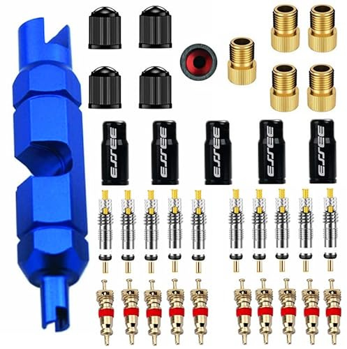 Aracey 36 Pieces Presta Valve Core Kits,Handy Alloy Valve Core Remover,10Pcs Presta Valve Cores,5Pcs Presta Valve Adapters,5Pcs Presta Valve Caps,10Pcs Schrader Valve Cores,5Pcs Schrader Valve Caps