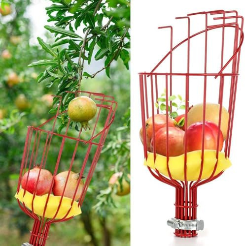 TPALPKT Fruit Picker Basket Head, Fruit Picker Tool, Fruit Harvest Attachment, Fruit Tree Grabber Tool with Foam Cushion, Orange, Lemon, Pear, Pole Not Included