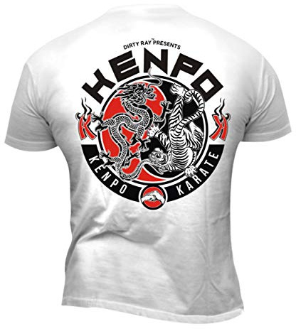 Dirty Ray Arts Martiaux Shotokan Karate t-Shirt Homme DT41 (XL)