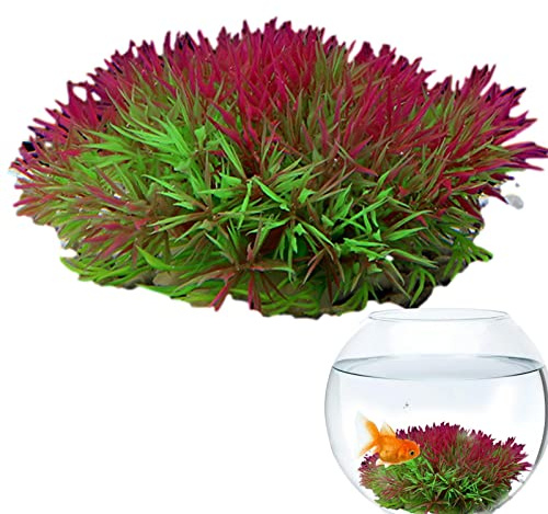 Rianpesn Plantes artificielles réalistes pour aquarium - Plantes artificielles - Simulées naturelles - Pour aquarium, piscine, aménagement paysager