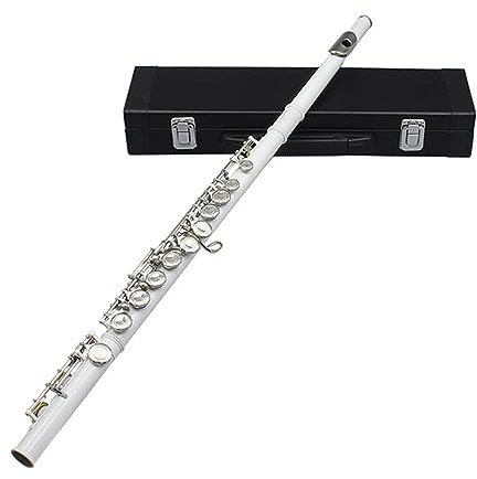 flauta travesera Agujeros Abiertos Cerrados Flauta De Llave C Flauta De Concierto De Plata Dorada Profesional Con Guantes De Caja instrumento de flauta profesional