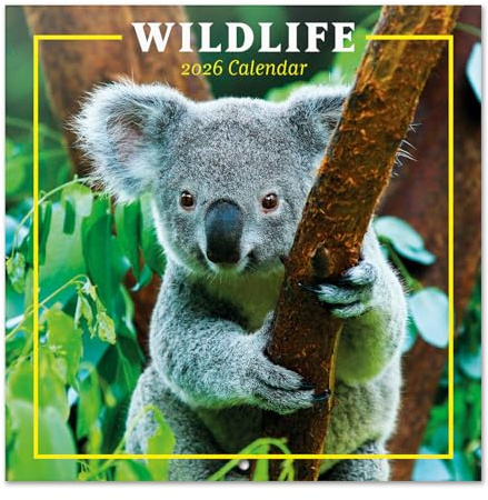 Grupo Erik Calendario 2026 pared Wildlife - Almanaque pared 2026 : Planificador mensual Con espacio para Anotar, Ilustraciones y Fácil de colgar (30x30cm)
