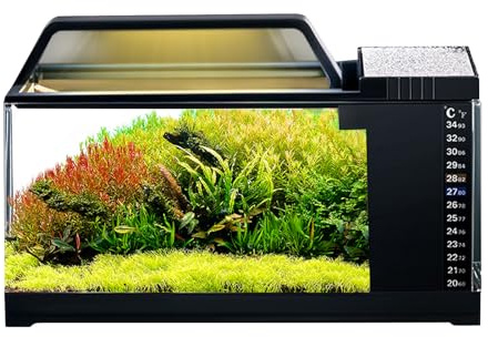Desktop Aquarium Set - Mini serbatoio di pesce, di filtro per l'acqua avanzato | Acquario illuminato a LED, decorazione acquatica elegante compatta con operazioni silenziose per soggiorno