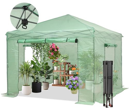 GDY 10X10FT Instant Pop-up Greenhouse, Walk-in Plant Gardening Green House with PE Cover/Roll-Up Zipper Doors/Side Windows for Indoor, Backyard and Outside, Green/Clear.
