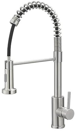 GENBONS Wasserhahn Küche,Federdesign,Hoher Bogen Hochdruck Küchenarmatur mit Herunterziehen Brause Armatur,Mischbatterie Spültischarmatur Küchenarmaturen,360°Schwenkbar Zwei Sprühfunktionen